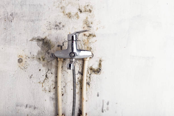 Best Emergency Mold Removal  in Sleepy Hollow Lake, NY