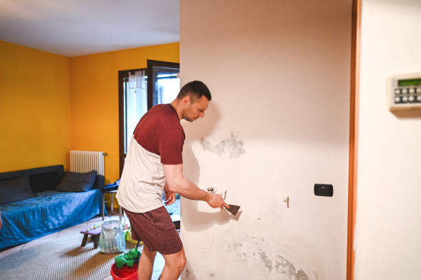 Best Commercial Mold Removal  in Sleepy Hollow Lake, NY